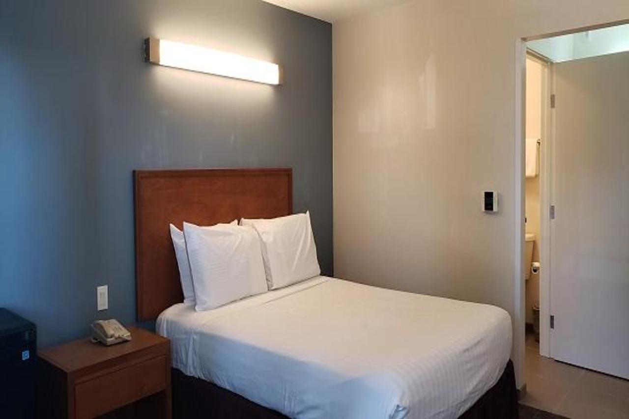 Inn At Ронерт Парк Екстериор снимка